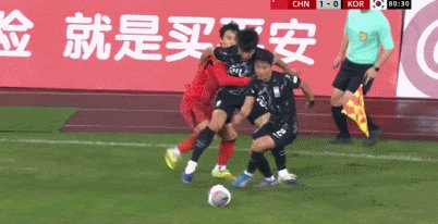 1763251701466009638.gif 白鹤.gif