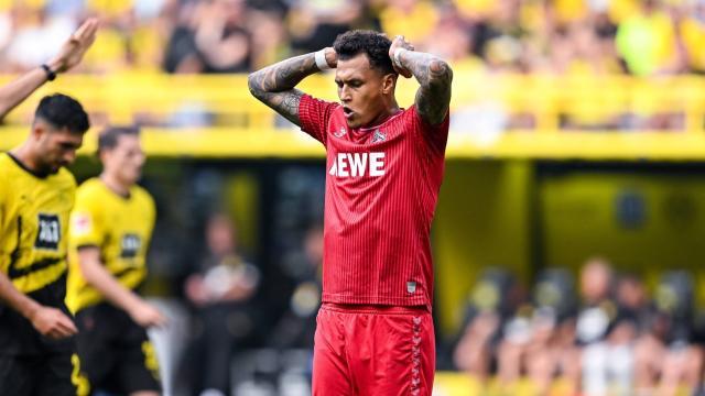 1692519800713059083.jpeg 1692519800713059083.jpeg