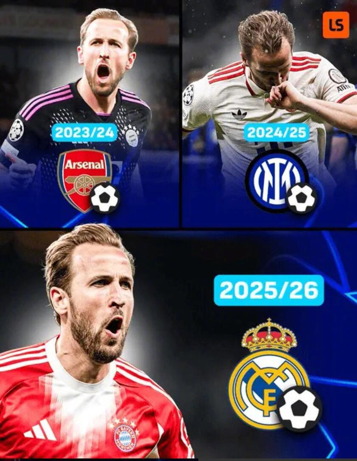 YY直播-凯恩连续3赛季欧冠客场1/4决赛破门,伯纳乌再斩皇马|哈里·凯恩|拜仁慕尼黑|阿森纳|皇家马德里|哈里凯恩_新浪体育_新浪新闻